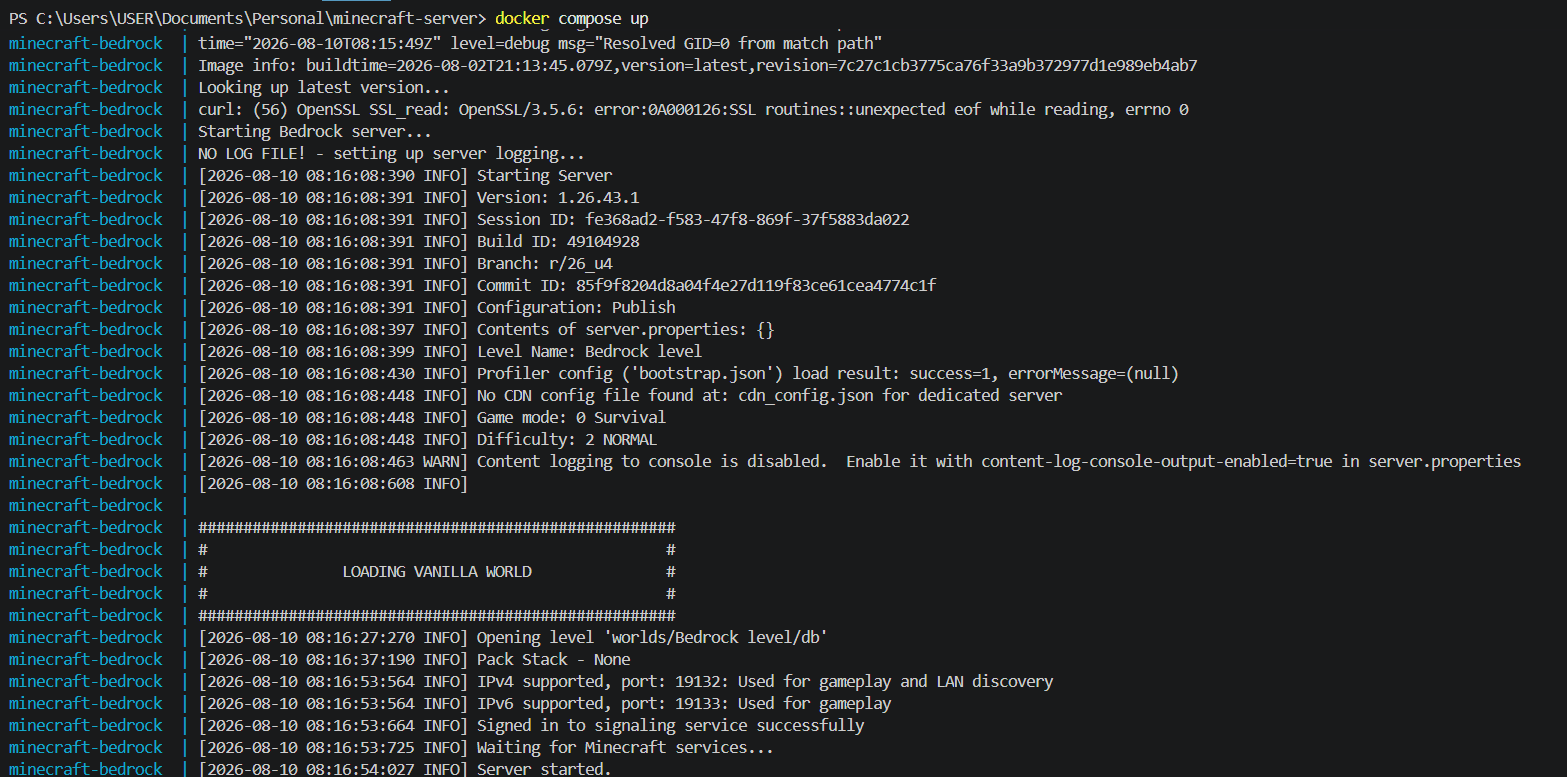 Screenshot of CMD Terminal showing docker logs