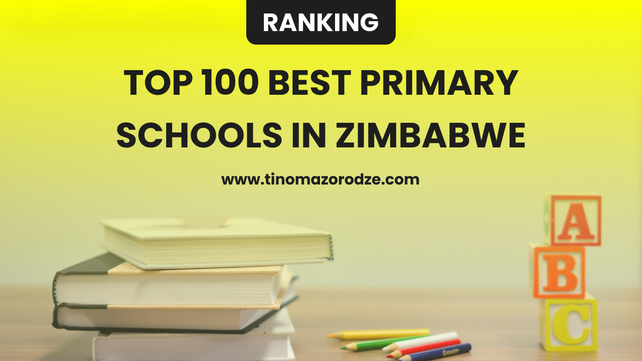 Top 100 Best Primary Schools in Zimbabwe | Tino Mazorodze